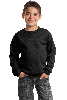 Port & Company - Youth Core Fleece Crewneck Sweatshirt. PC90Y-0