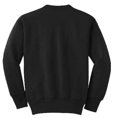 Port & Company - Youth Core Fleece Crewneck Sweatshirt. PC90Y-1