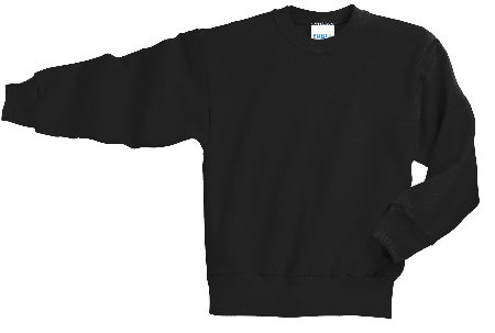 Port & Company - Youth Core Fleece Crewneck Sweatshirt. PC90Y-2