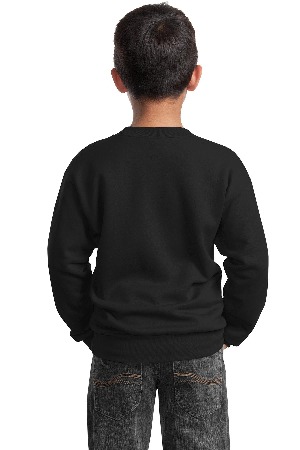 Port & Company - Youth Core Fleece Crewneck Sweatshirt. PC90Y-3