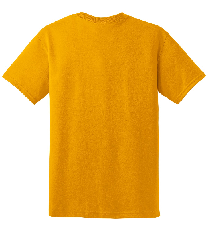 Gildan - DryBlend 50 Cotton/50 Poly T-Shirt. 8000-0